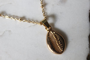 Summer Gold Shell Necklace